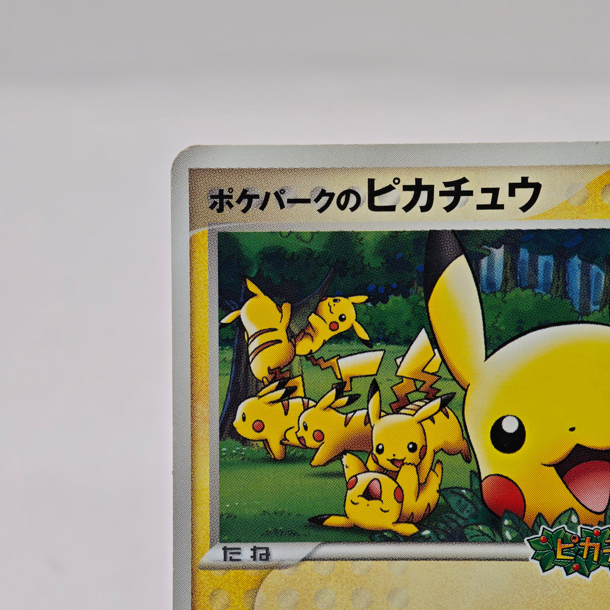 Pokemon PokéPark's Pikachu Promos 043/ PCG-P