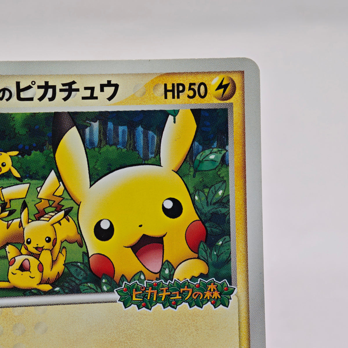 Pokemon PokéPark's Pikachu Promos 043/ PCG-P