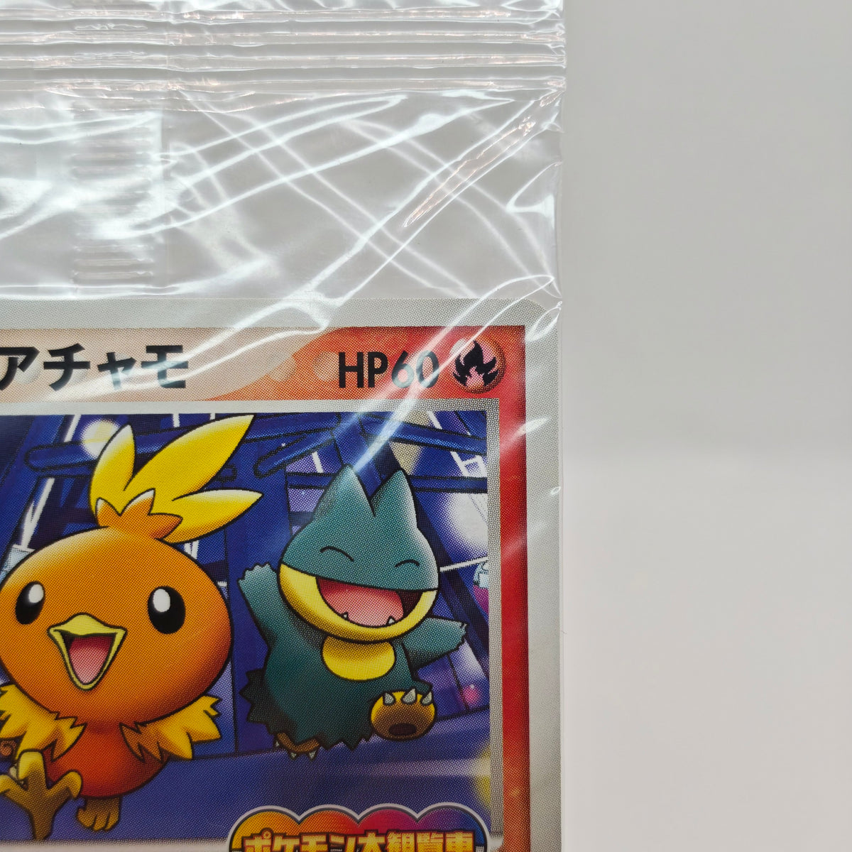 Pokémon PokéPark's Torchic 047/PCG-P Sealed Promo